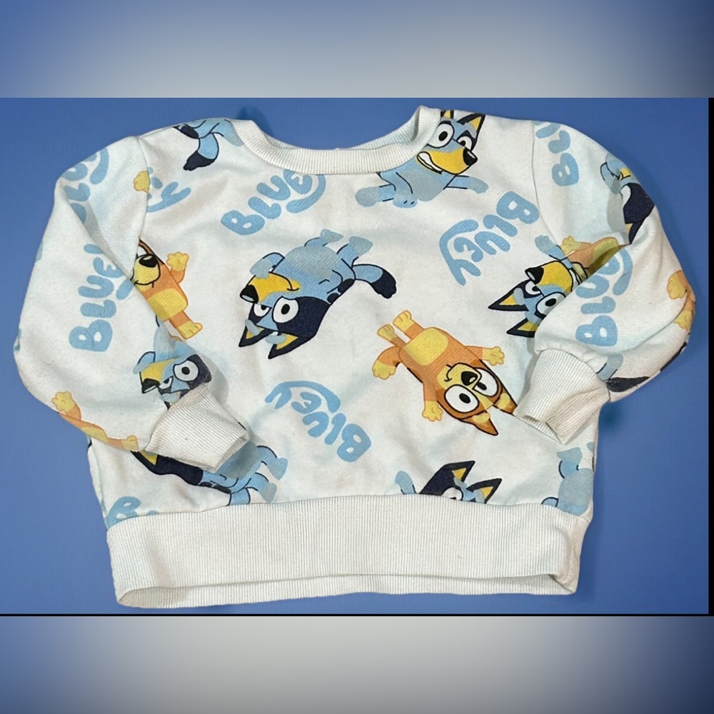 Official Bluey Sweatshirt 18 months TV Show Full Graphic Long Sleeves